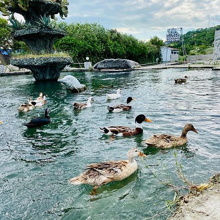 Kompleksi Turistik Dea Mjede Екстериор снимка
